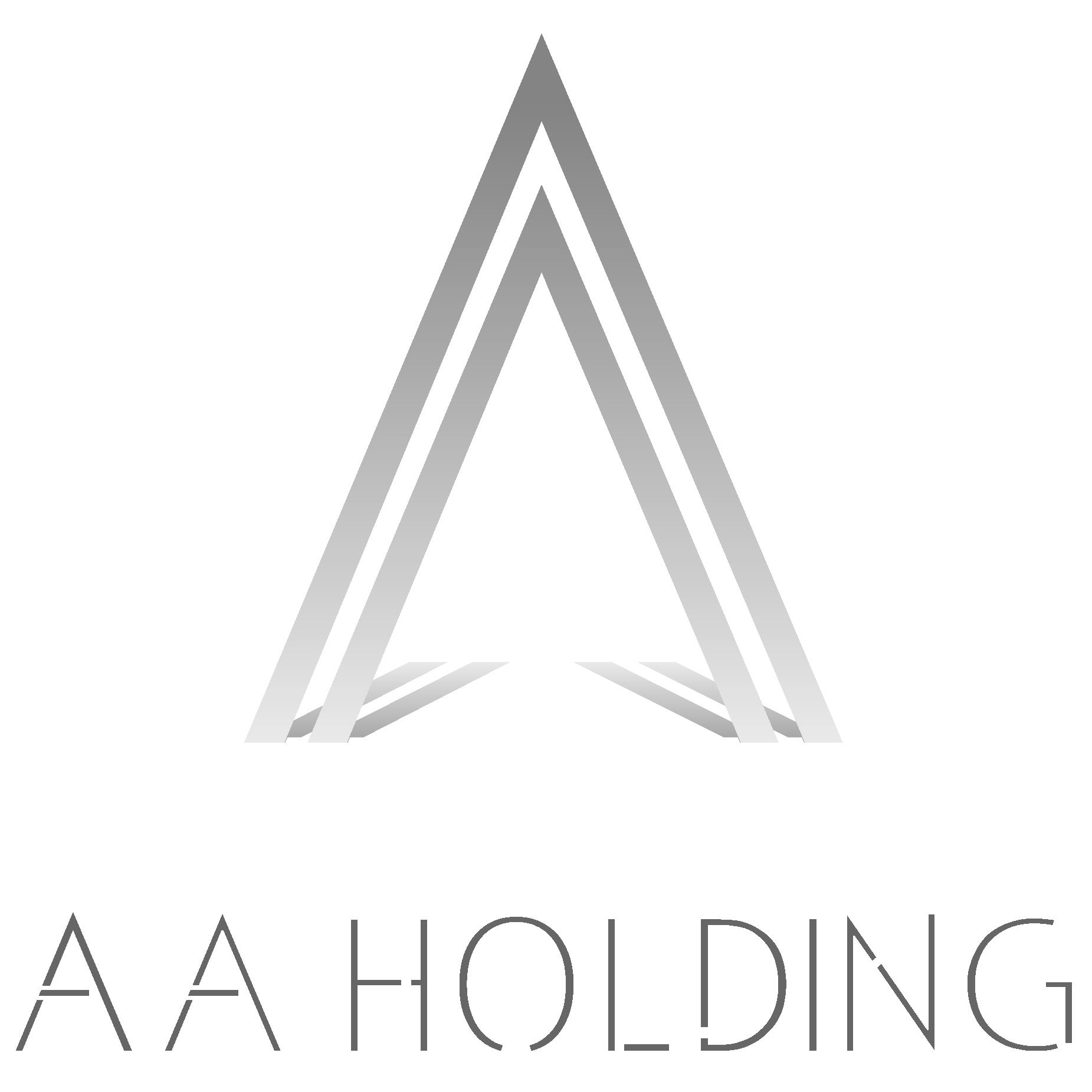 AA Holding